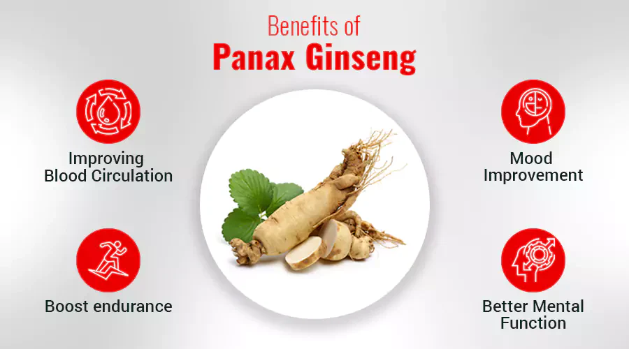 Benefits of Panax Ginseng