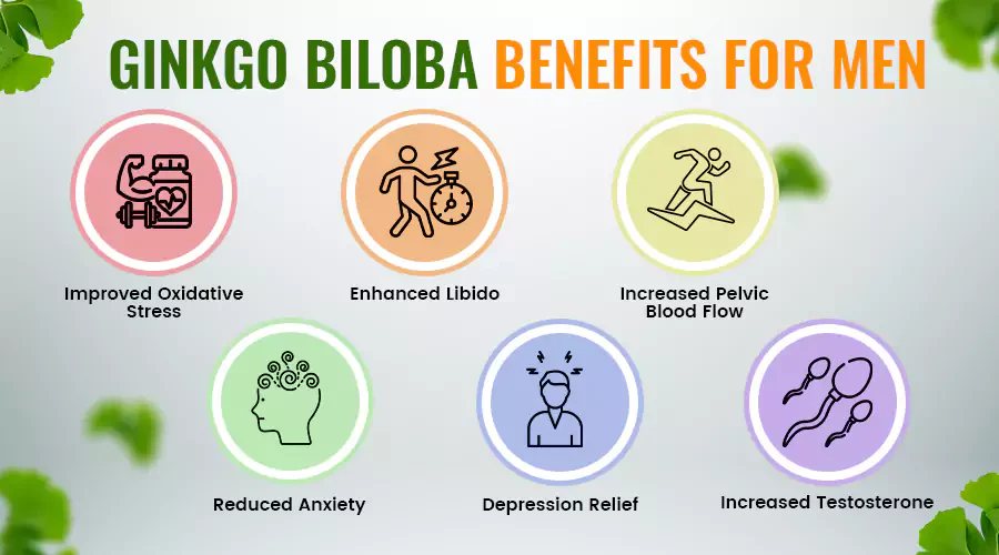 Ginkgo Biloba Benefits