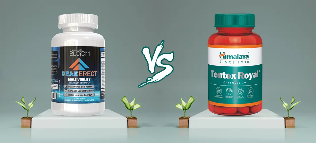 PeakErect vs. Tentex Royal